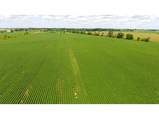 Property photo 3 - LAND AUCTION - 84+/- ACRES IN RUSH COUNTY, INDIANA
